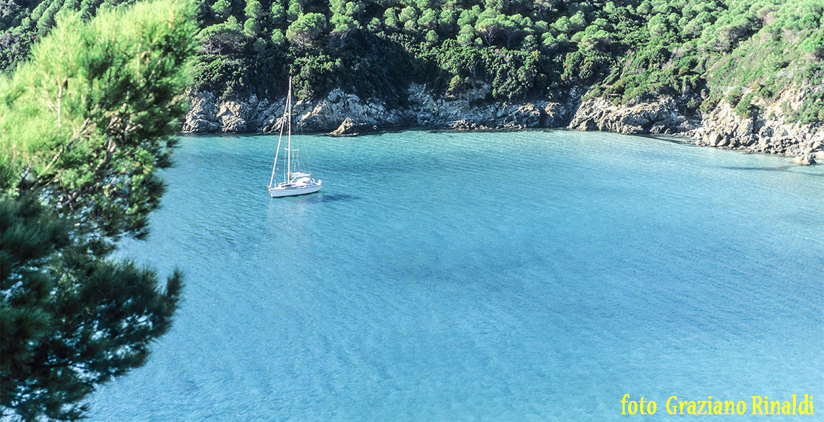 Zehn Dinge zu tun, während eines Urlaubs auf der Insel Elba_ Strand von Lacona in der Stadt Marina di Campo