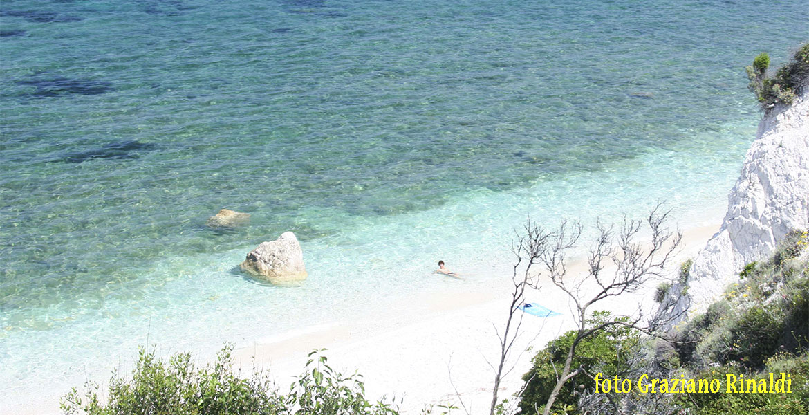 Elba 10 Dinge, die Sie wissen müssen, bevor Sie für den Urlaub verlassen _ Touristen Sonnenbaden am Strand in Portoferraio