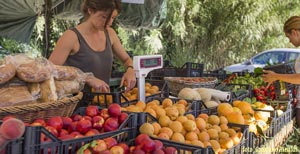 Foto von:  Obst und Gemüse essen auf der Insel Elba