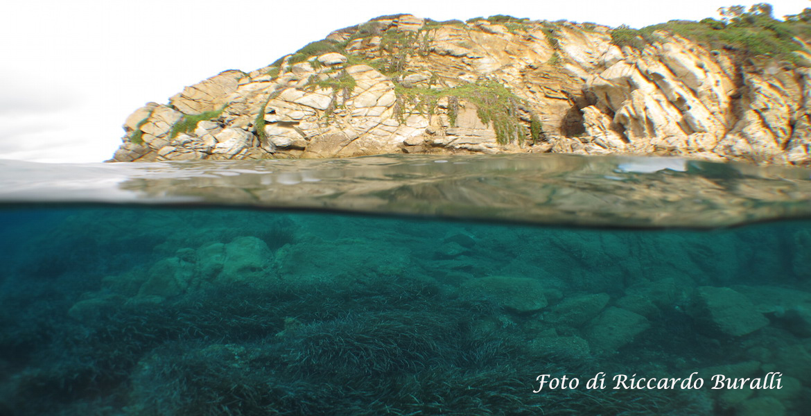 Zwischen Klippen und Meer auf der Insel Elba