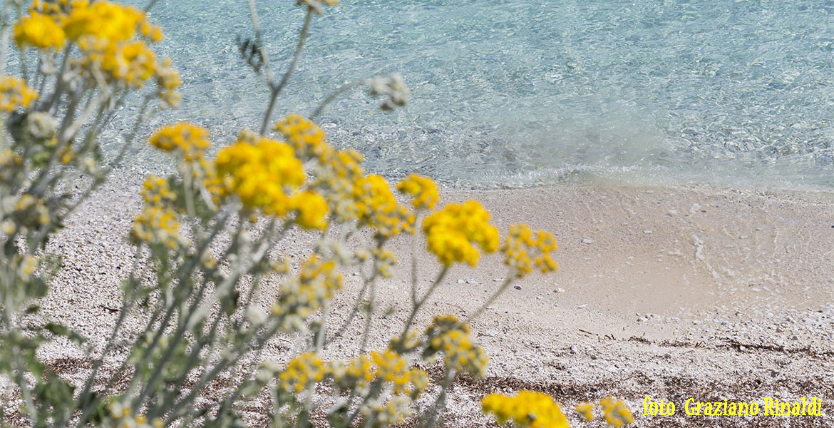 Padulella Strand auf Insel Elba