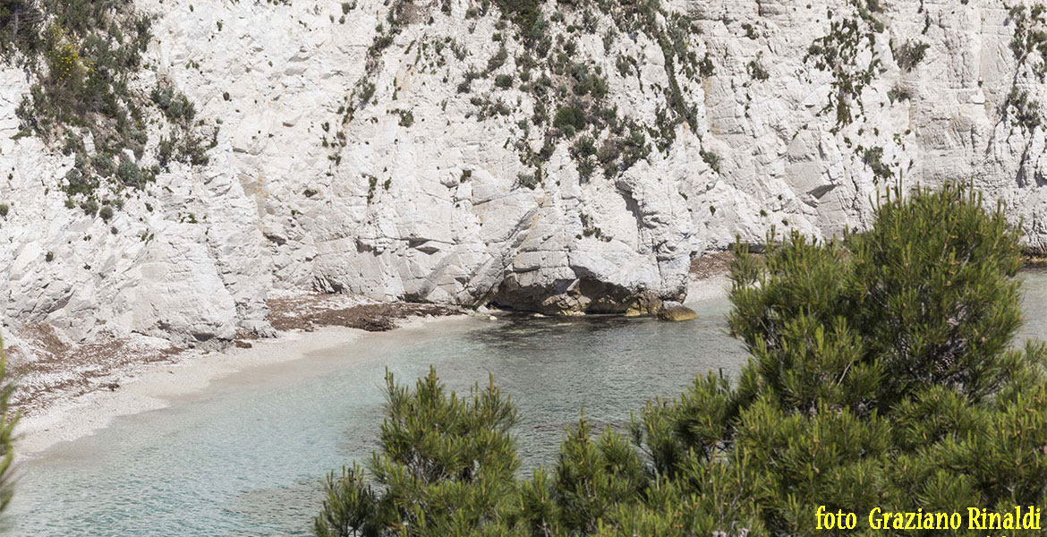 Padulella Strand auf Insel Elba