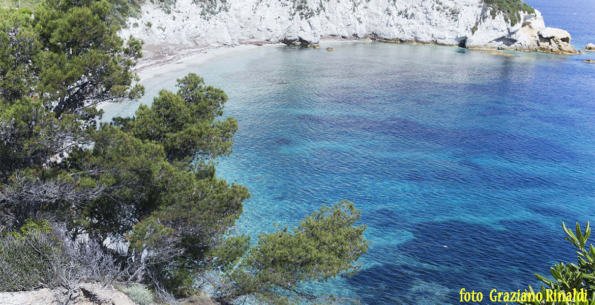 Padulella Strand auf Insel Elba