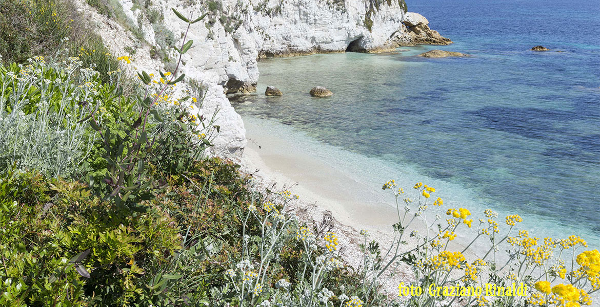 Padulella Strand auf Insel Elba