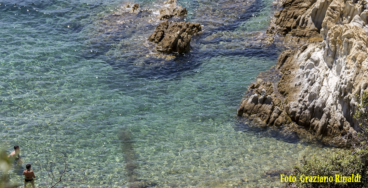 Insel Elba | Strand La Pinetina