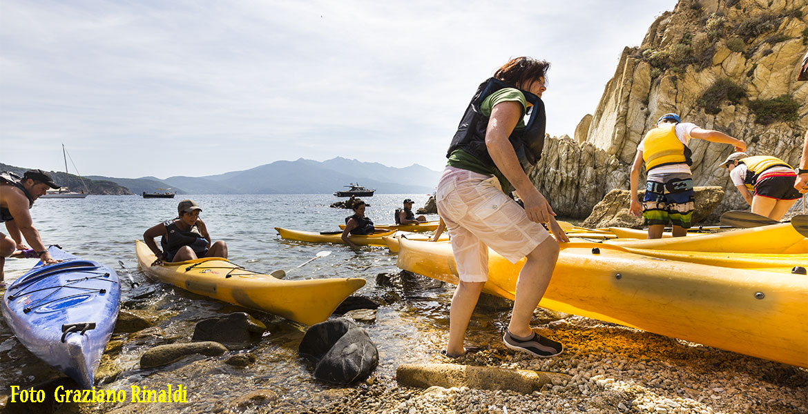 Insel Elba | Strand La Pinetina