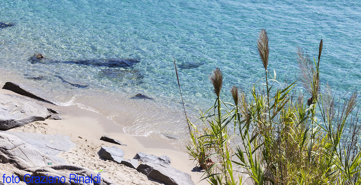 Klare Wasser am Cavoli Auf der Insel Elba