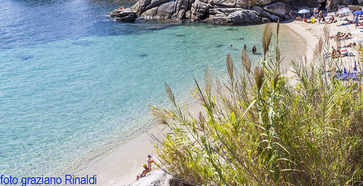 Felsen am Cavoli Auf der Insel Elba