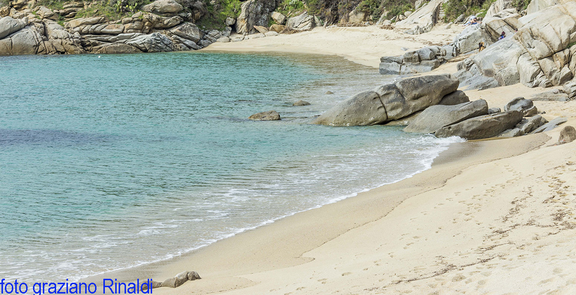 Sand und Felsen am Cavoli Auf der Insel Elba