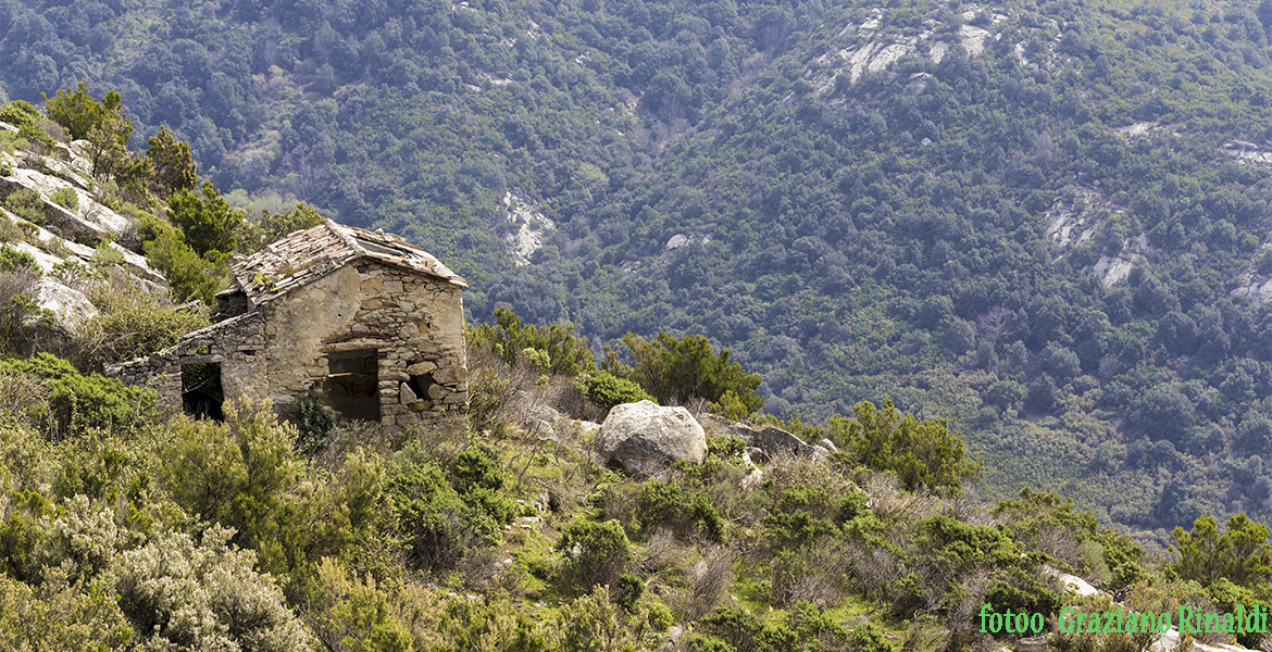 Antiken Ruinen im Hinterland der Insel Elba