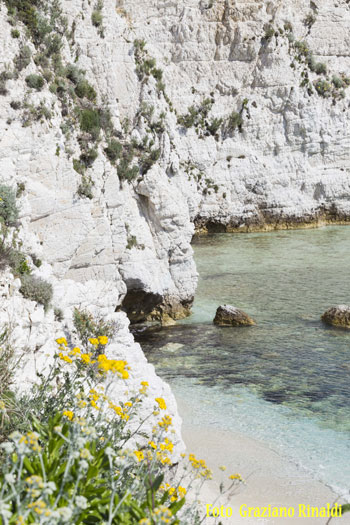 Padulella Strand auf Insel Elba