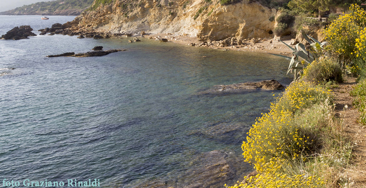 Insel Elba | Strand Cala dei Peducelli in Capoliveri