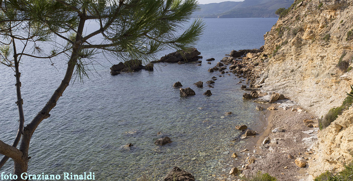 Insel Elba | Strand Cala dei Peducelli in Capoliveri