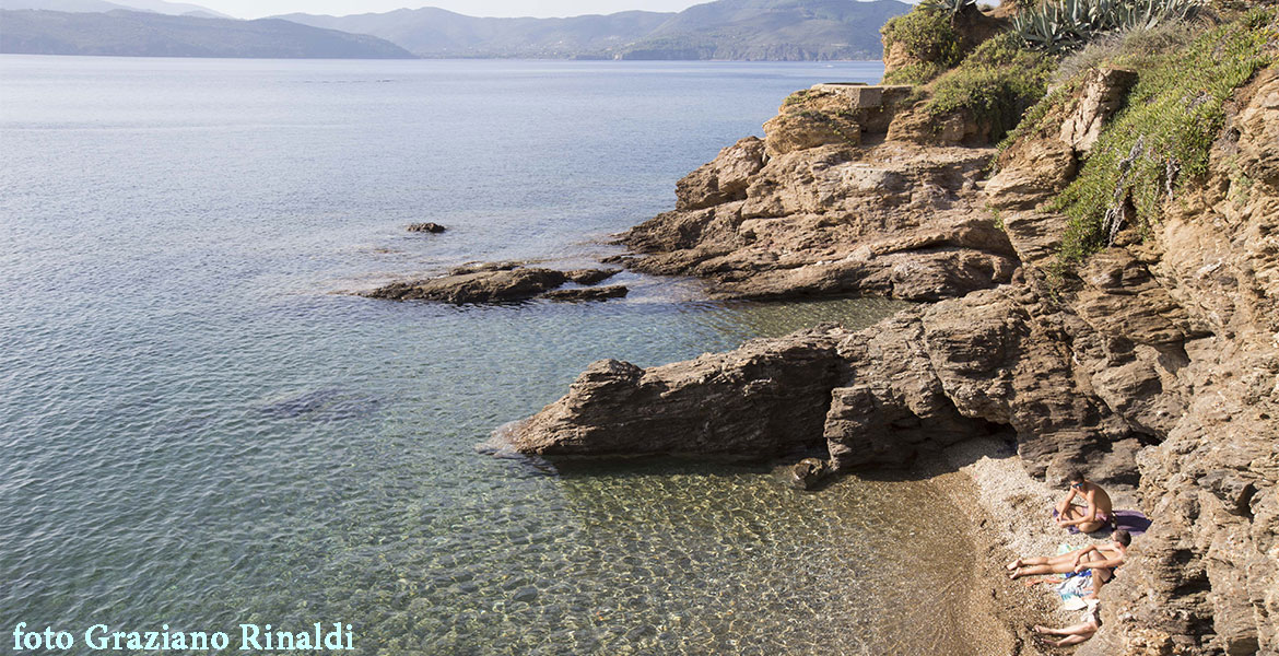 Insel Elba | Strand Cala dei Peducelli in Capoliveri