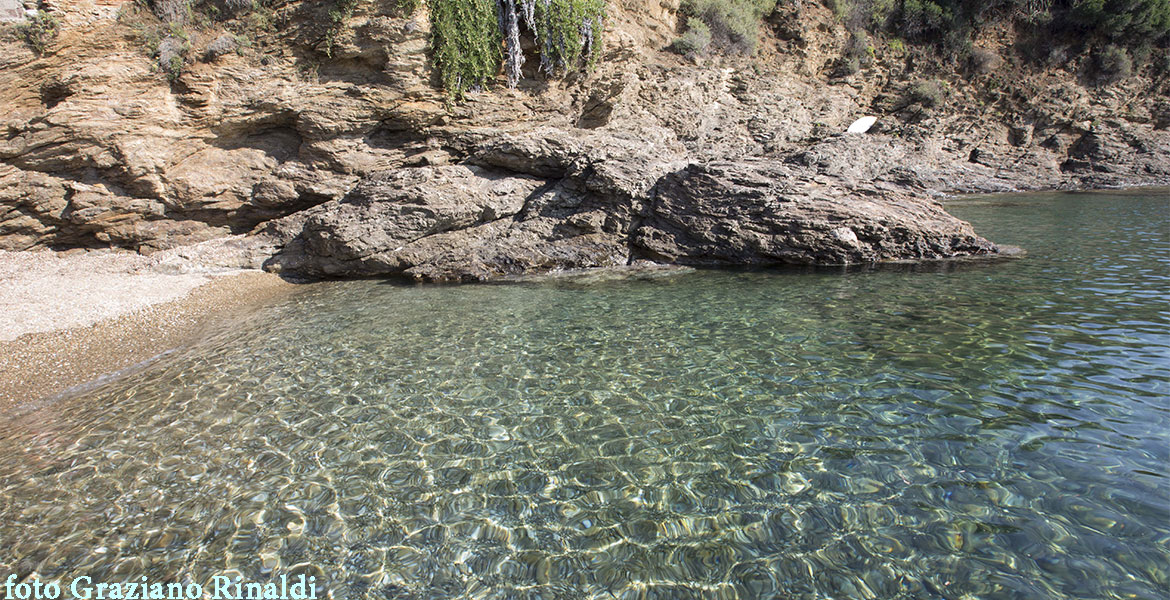 Insel Elba | Strand Cala dei Peducelli in Capoliveri