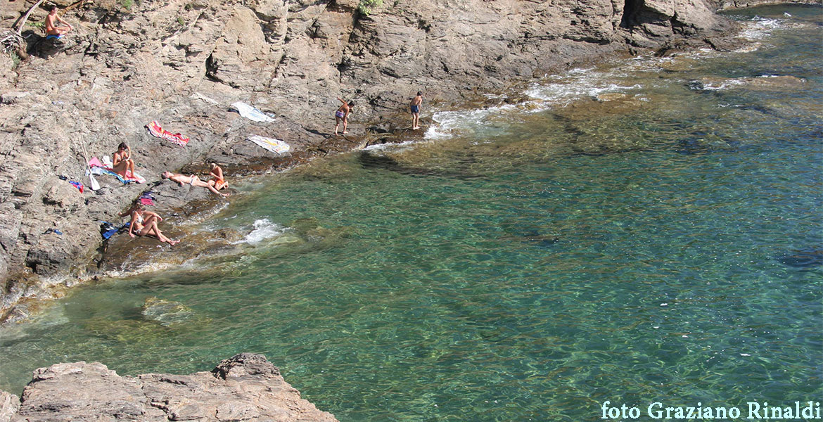 Insel Elba | Strand Cala dei Peducelli in Capoliveri