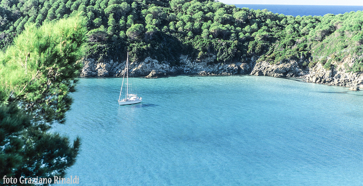 Insel Elba: der wunderschöne Strand von Fetovaia