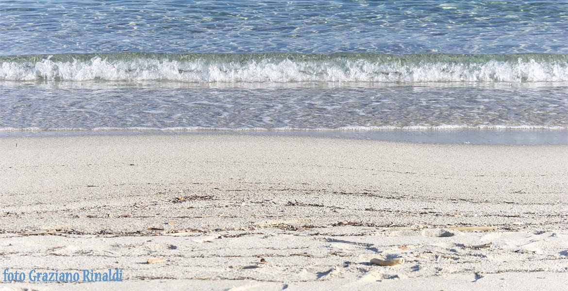 Insel Elba: der wunderschöne Strand von Fetovaia