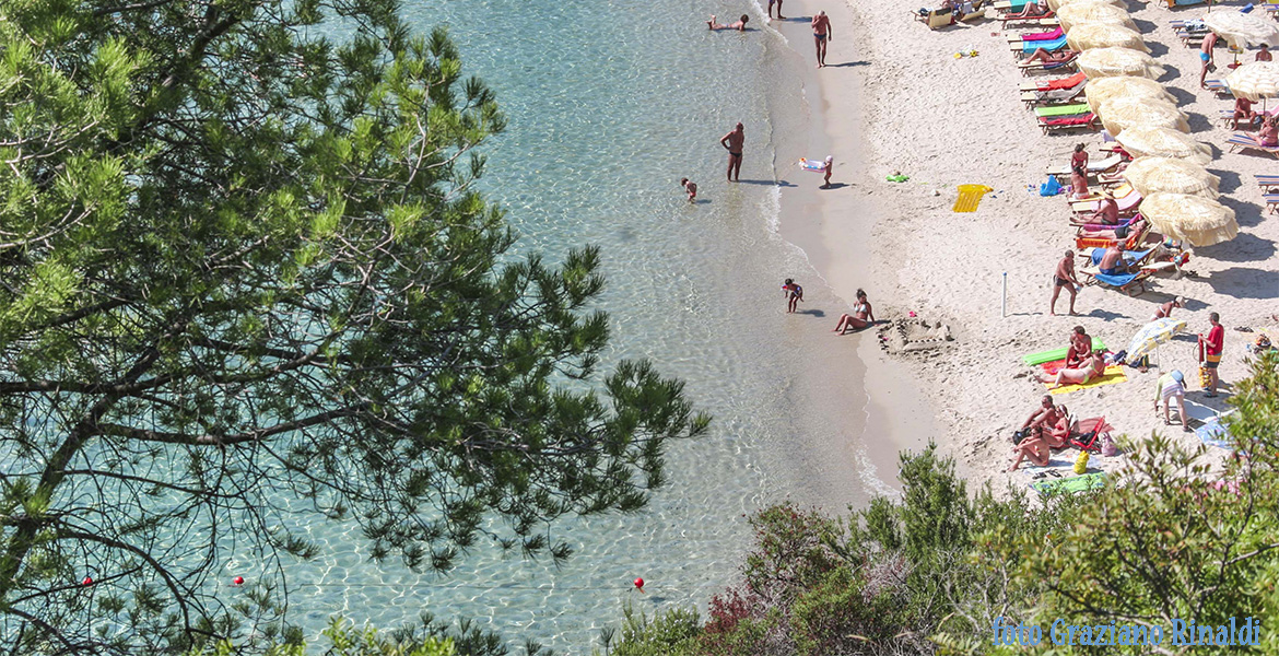 Insel Elba: der wunderschöne Strand von Fetovaia