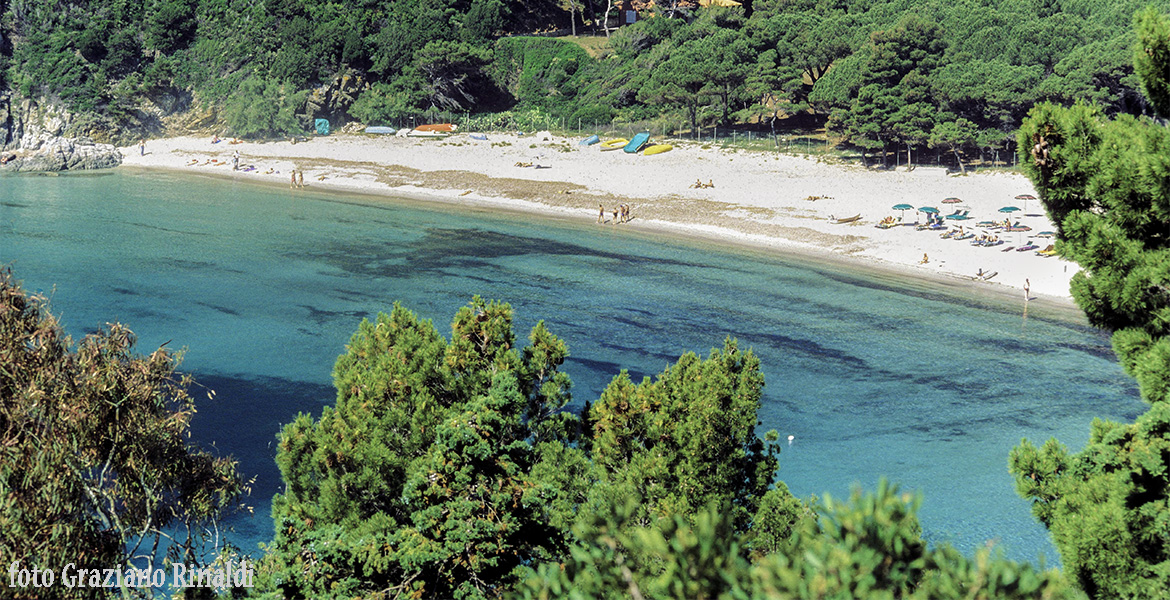 Insel Elba: der wunderschöne Strand von Fetovaia