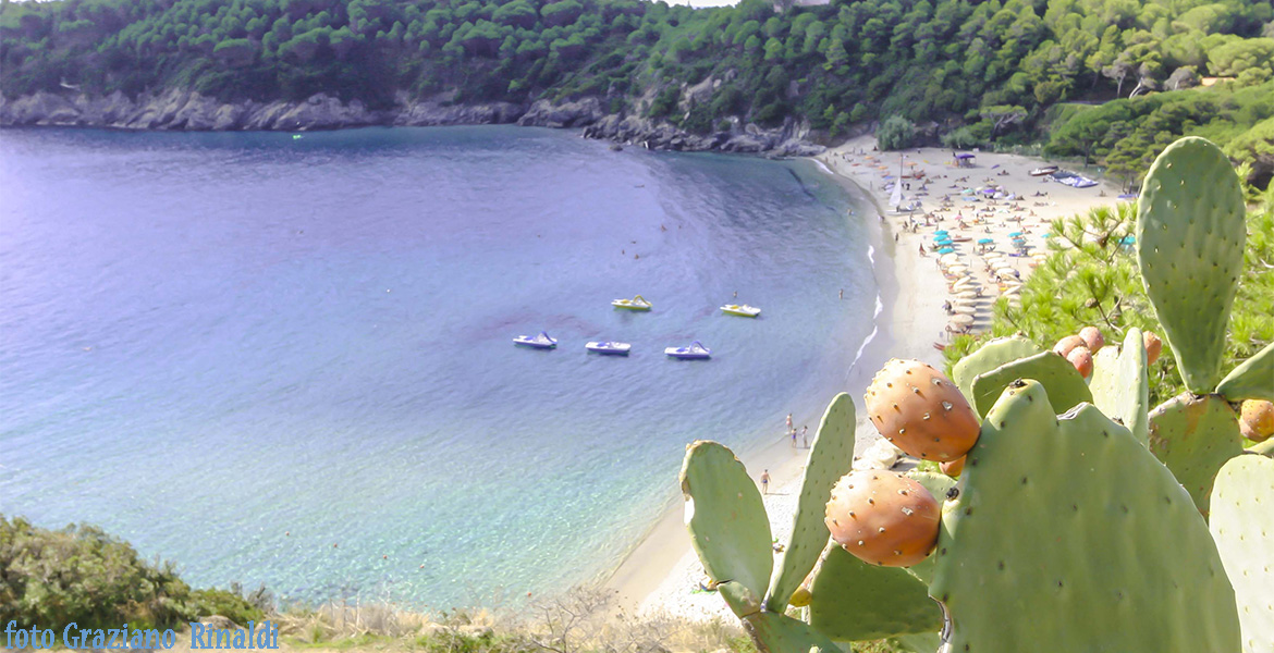 Insel Elba: der wunderschöne Strand von Fetovaia