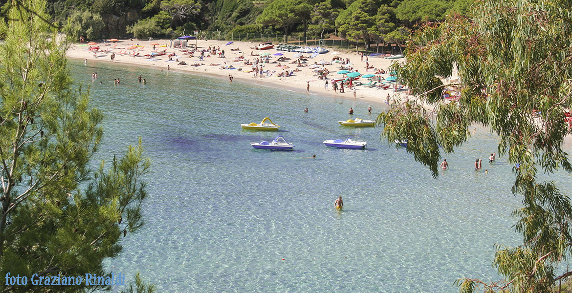 Insel Elba: der wunderschöne Strand von Fetovaia