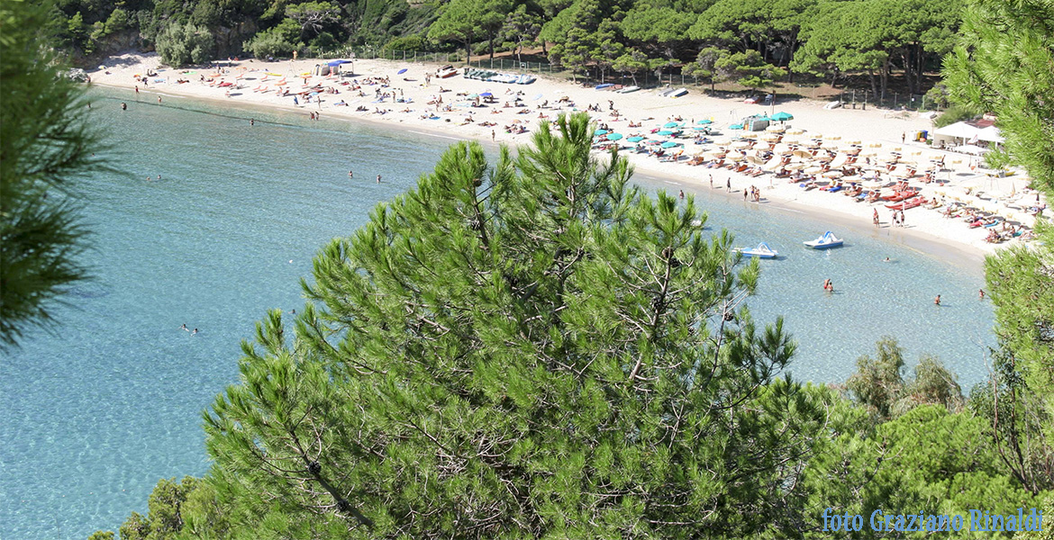 Insel Elba: der wunderschöne Strand von Fetovaia