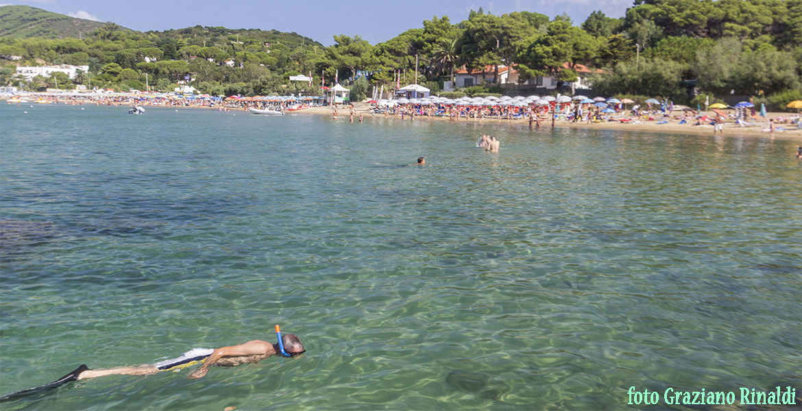 Insel Elba. Strand von Lido di Capoliveri