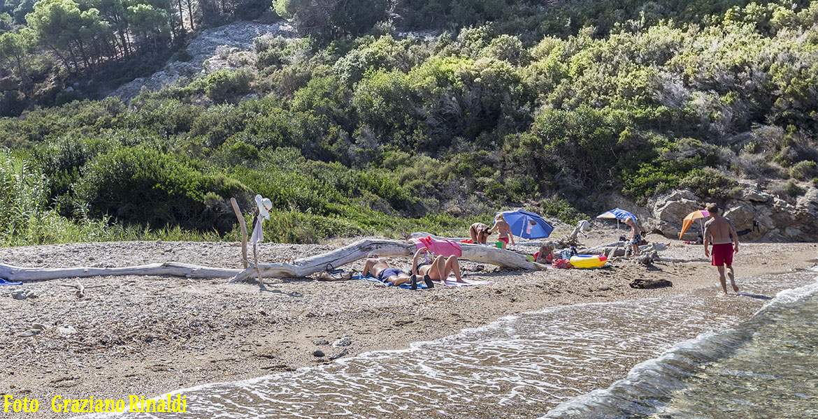 Strand von Buzzancone auf Insel Elba