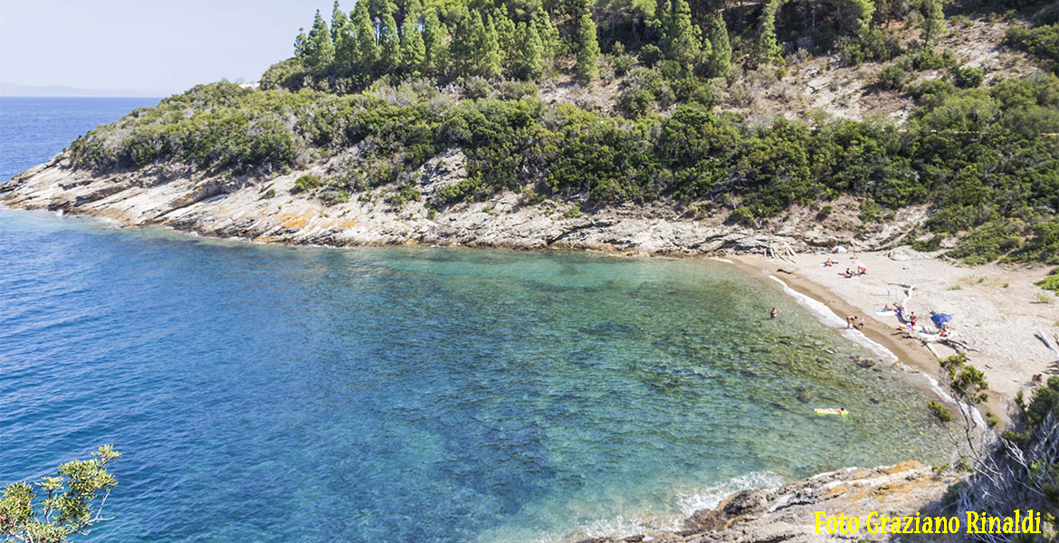 Strand von Buzzancone auf Insel Elba