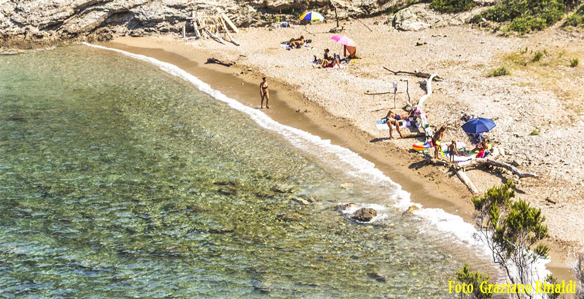 Strand von Buzzancone auf Insel Elba