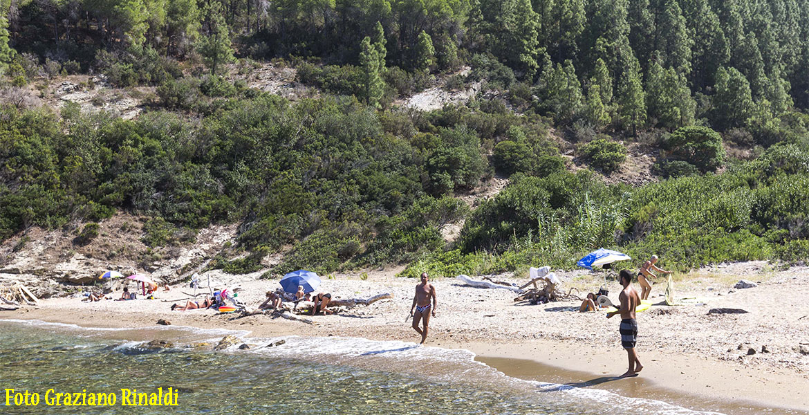 Strand von Buzzancone auf Insel Elba