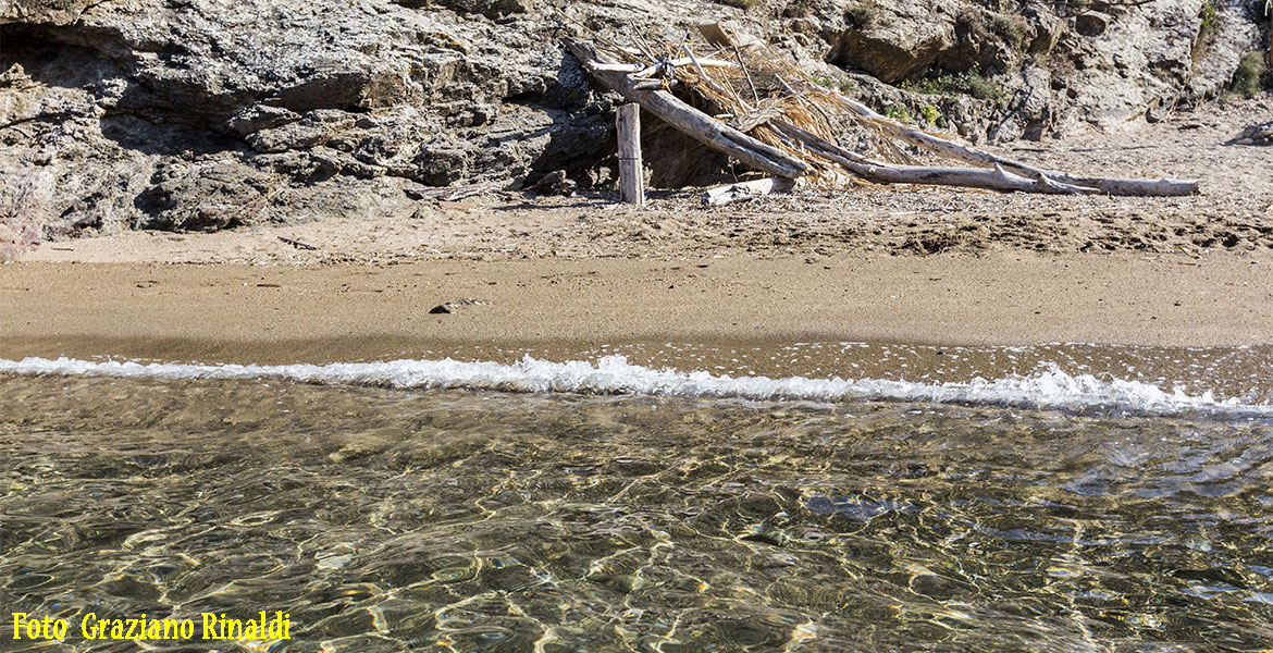 Strand von Buzzancone auf Insel Elba