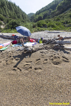 Strand von Buzzancone auf Insel Elba