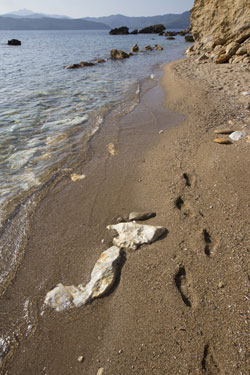 Insel Elba | Strand Cala dei Peducelli in Capoliveri