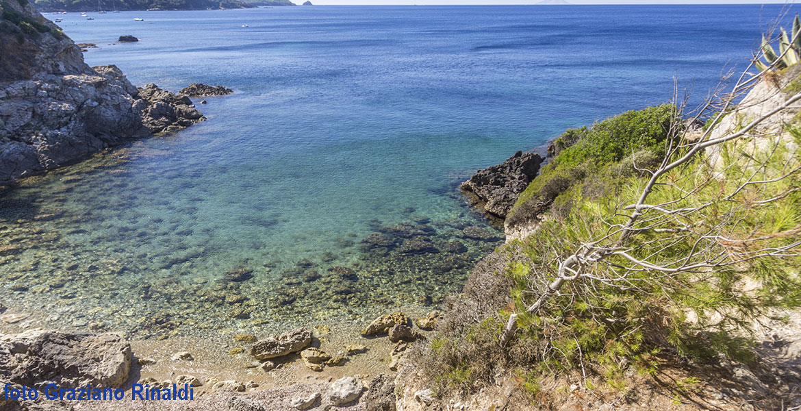 Der schöne Strand von Felciaio auf Insel Elba