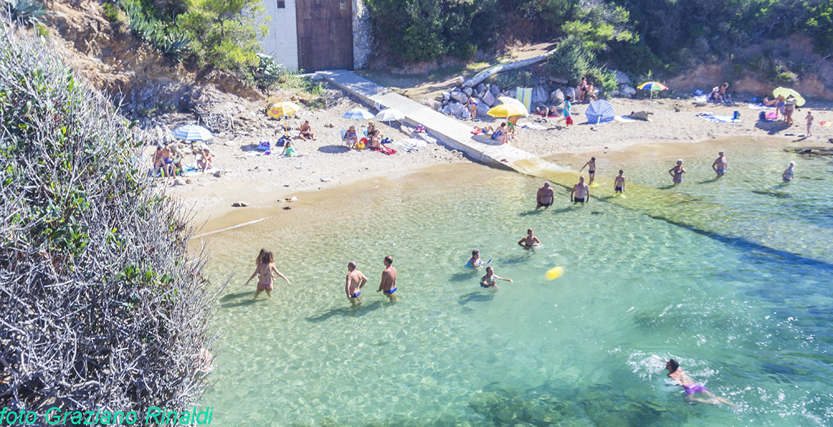 Der schöne Strand von Felciaio auf Insel Elba