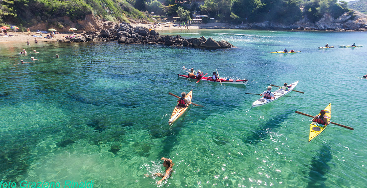 Der schöne Strand von Felciaio auf Insel Elba