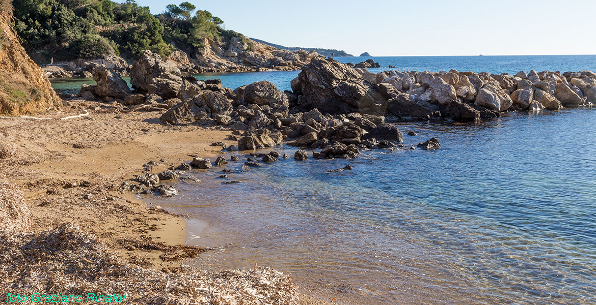 Der schöne Strand von Felciaio auf Insel Elba