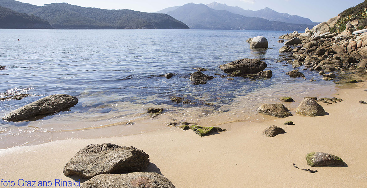 Strand von Forno, Portoferraio, Insel Elba