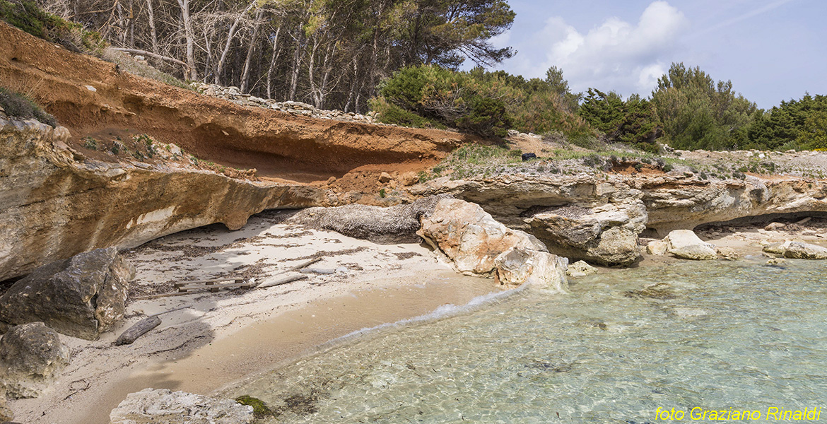 Toskana Pinaosa Island National Park des Toskanischen - Strand in der Nähe des Dorfes