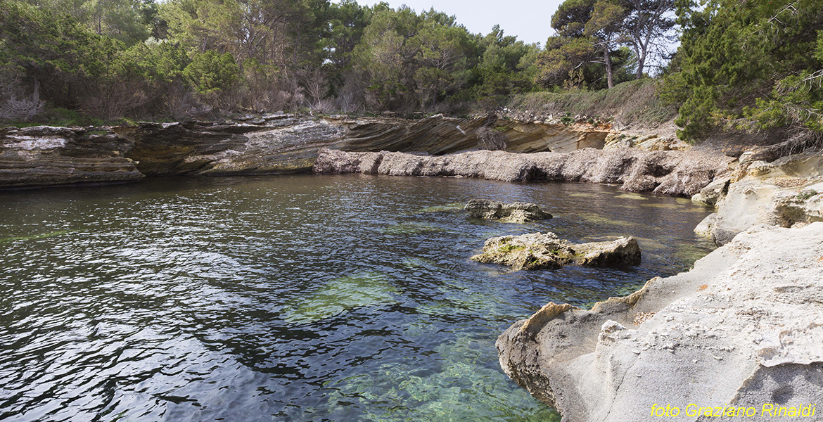 Toskana Pinaosa Island National Park des Toskanischen - Strand mit Kalkstein und fossil mit Blättern von Poseidonia bedeckt
