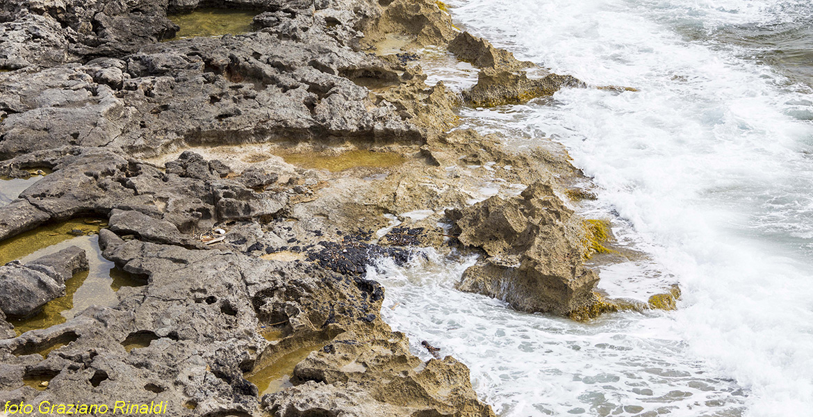 Toskana Pinaosa Island National Park des Toskanischen - Küste in der Nähe von Cala Burned Muschelkalk