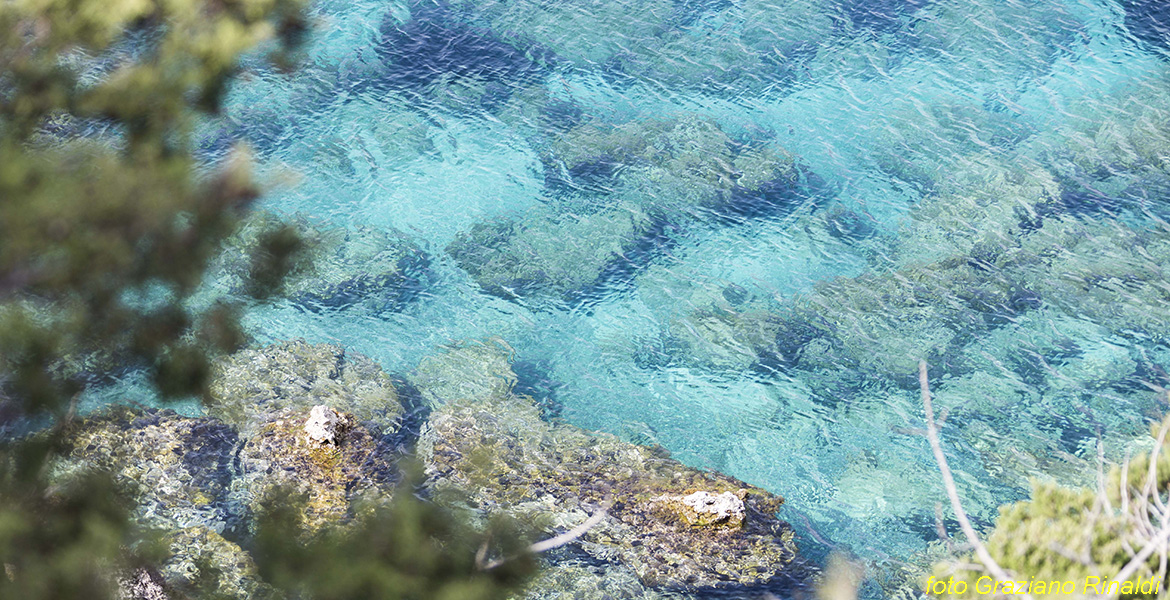 Toskana Pinaosa Island National Park des Toskanischen Archipels - das türkisfarbene Meer im südlichen Teil der Klippen
