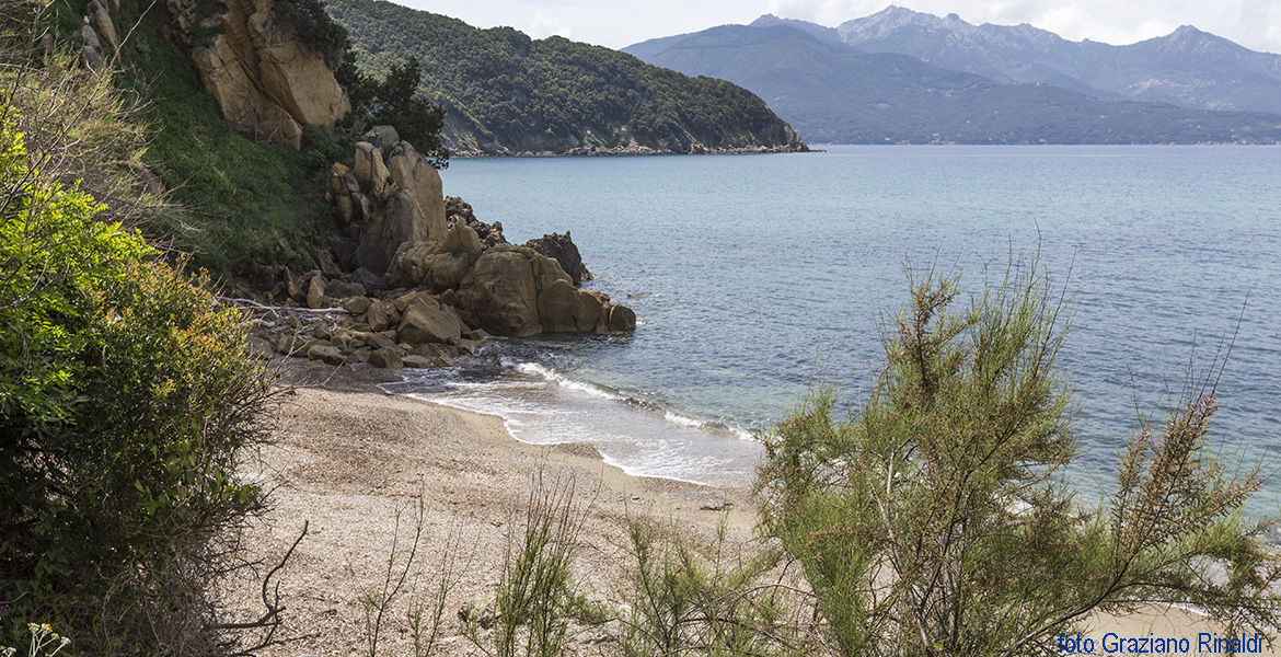 Insel Elba: Bucht von Viticcio