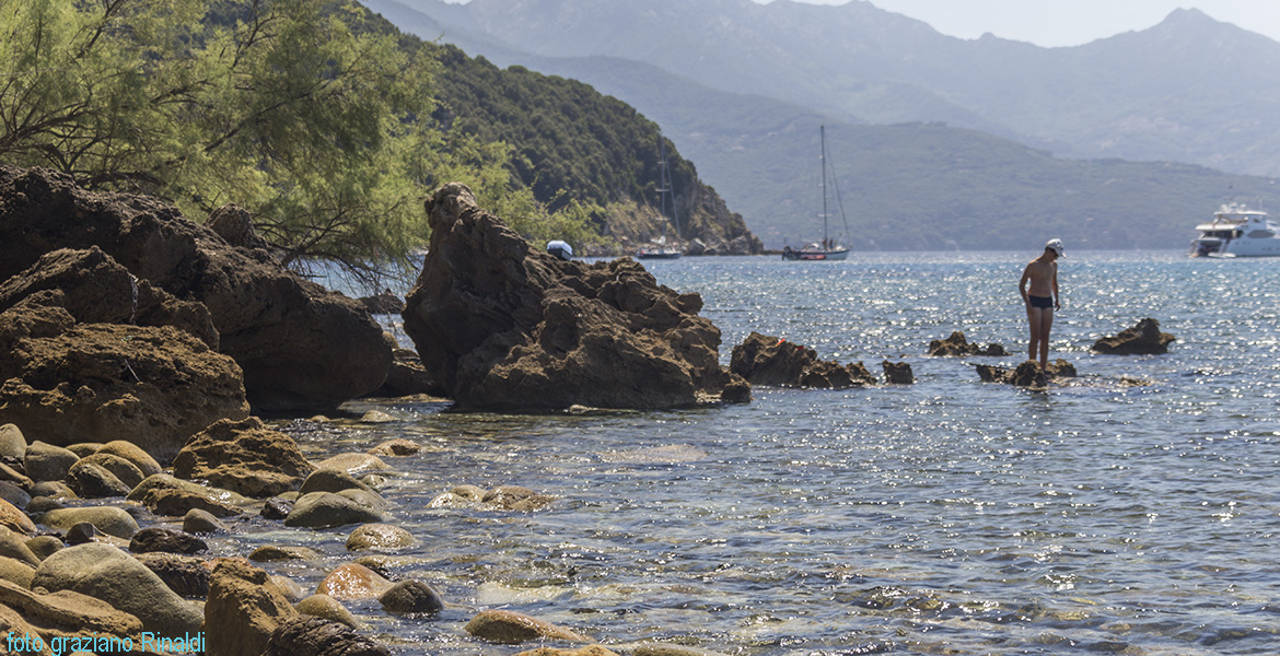 Insel Elba: Bucht von Viticcio