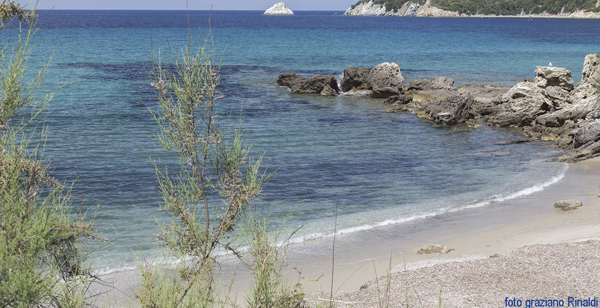 Insel Elba: Bucht von Viticcio