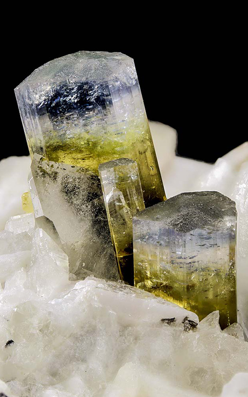 Minerals Elba - elbaites polychrome mit grünem Öl mit Quartz