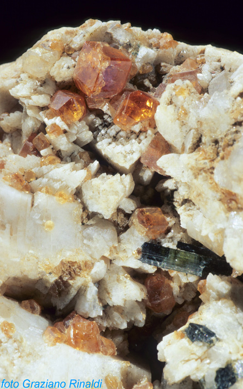 Minerals Elba - Kristalle von Orthoklas