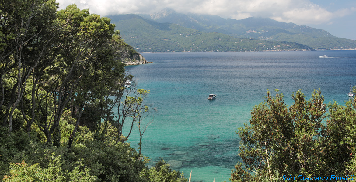 Insel Elba, Viticcio Strand, klarem Wasser